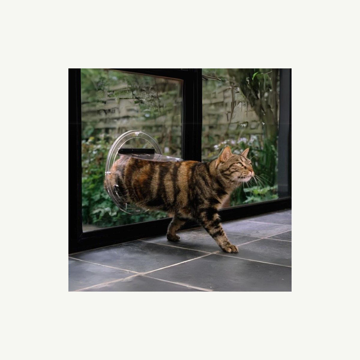 TRANSCAT Cat Door, Clear Perspex, Pet Doors And Screen Mesh - Construction Supplies Australia