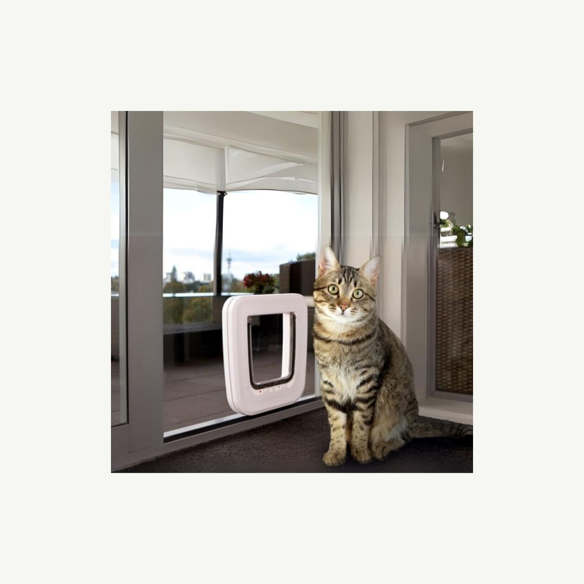 TRANSCAT Cat Door to suit Wooden Doors, Pet Doors And Screen Mesh - Construction Supplies Australia